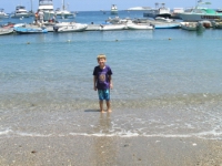 opt 008.jpg
